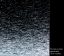 SXJ-0540 Gradient Static Lines
