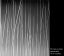 SXJ-0545 Beach Grass Gradient