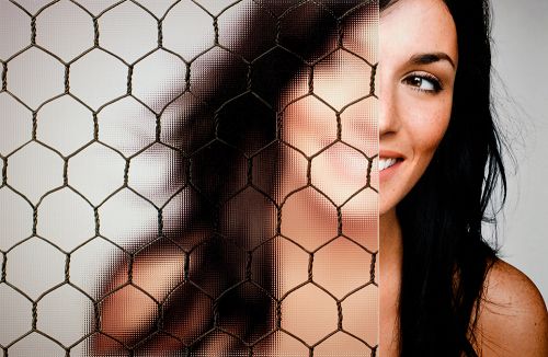 SGC-6531 Frosted Chicken Wire