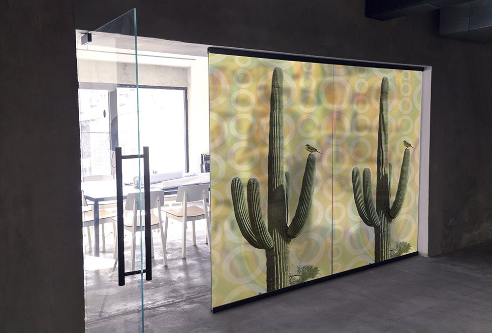Arizona