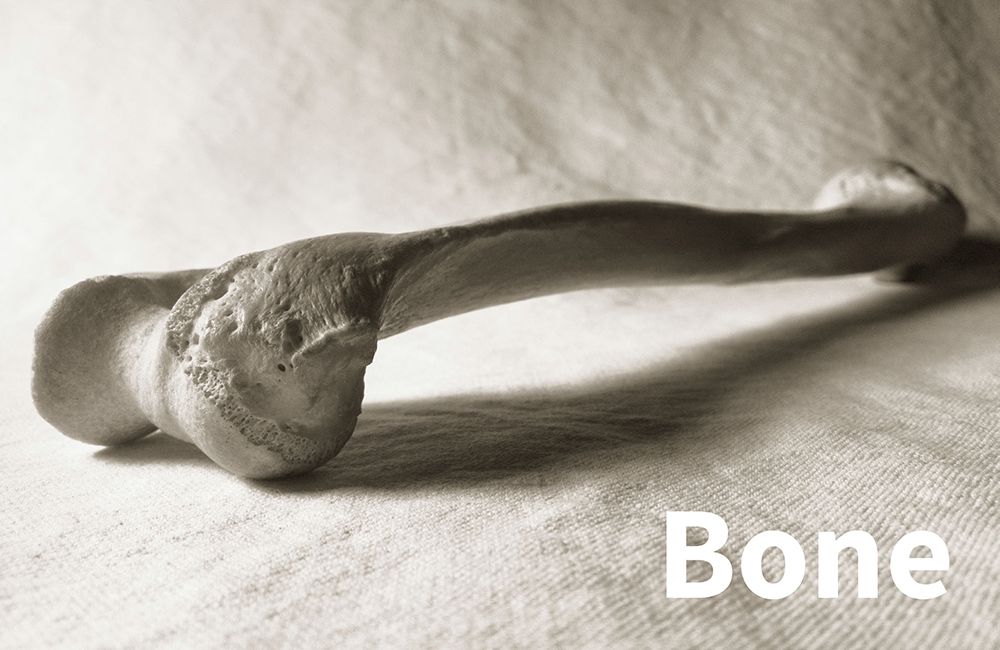 SQ-2001 BONE