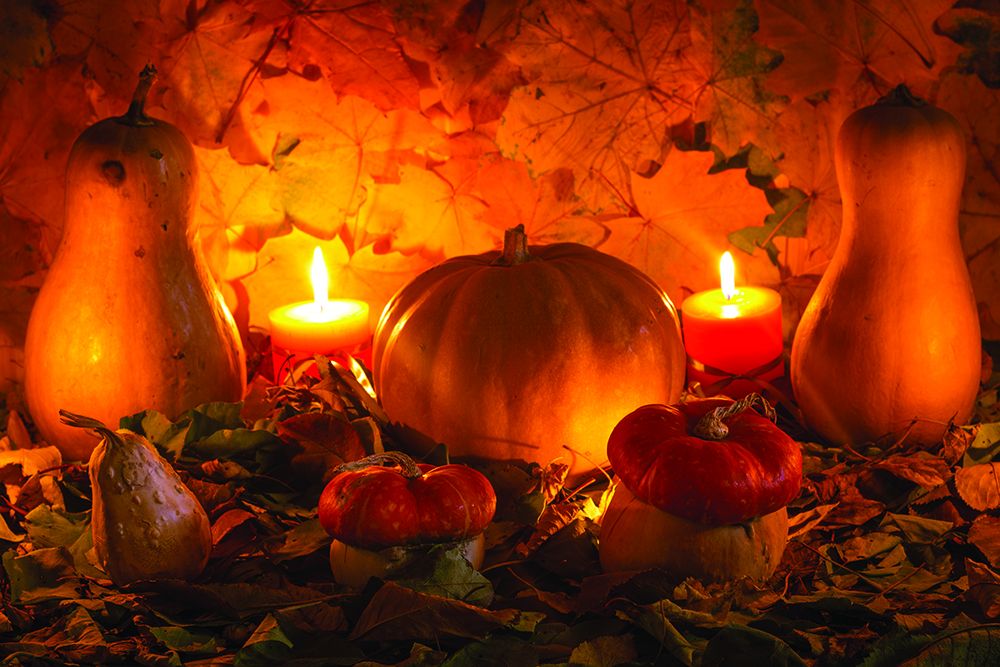 SX-SA222 Gourds - 36