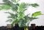 SGC-6528-58 Light Seedy Glass