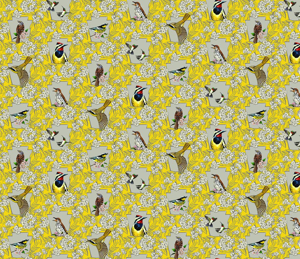 SX-BSFAC-01 Color Bird Safety Film