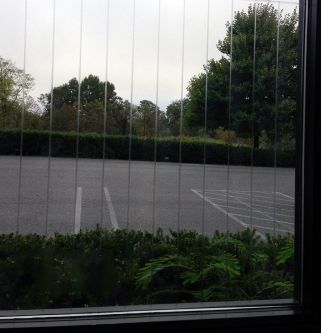 bird safety window films decorative films llc bird safety window films decorative films llc