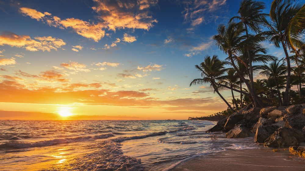 SX-IM501 Tropical Warmth