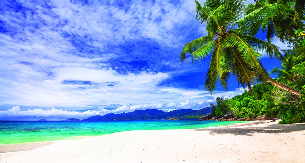 SX-IM509 Island Breeze