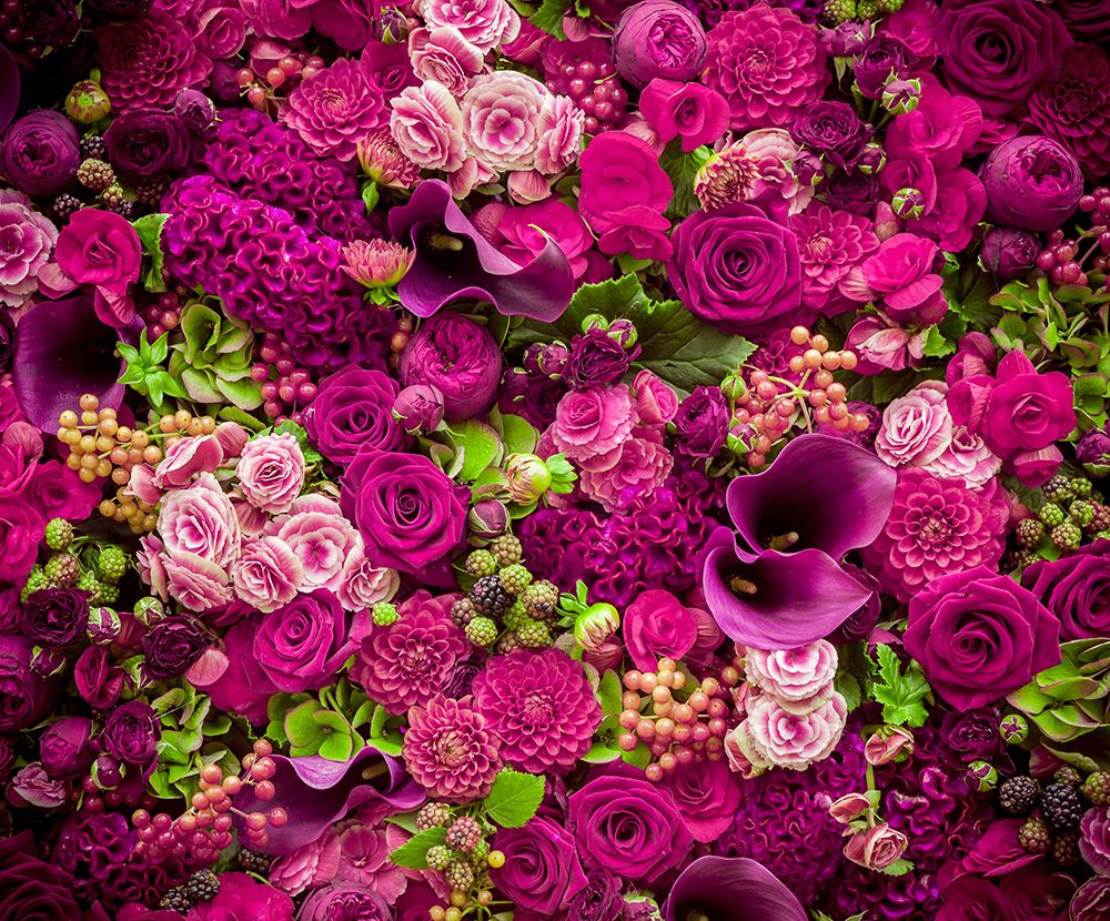 SX-IM605 Fushia Foliage