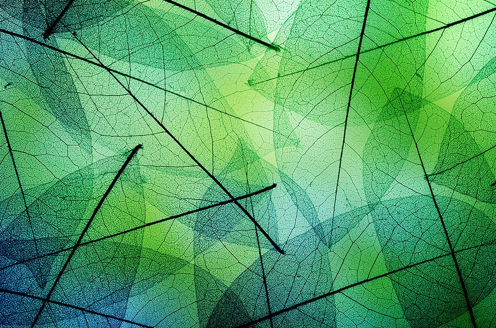 SX-IM607 Layered Hues