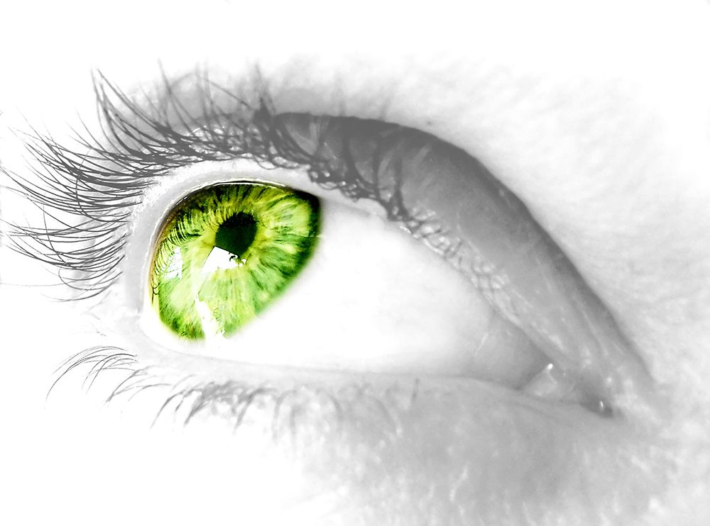 SX-IM608 Point of View