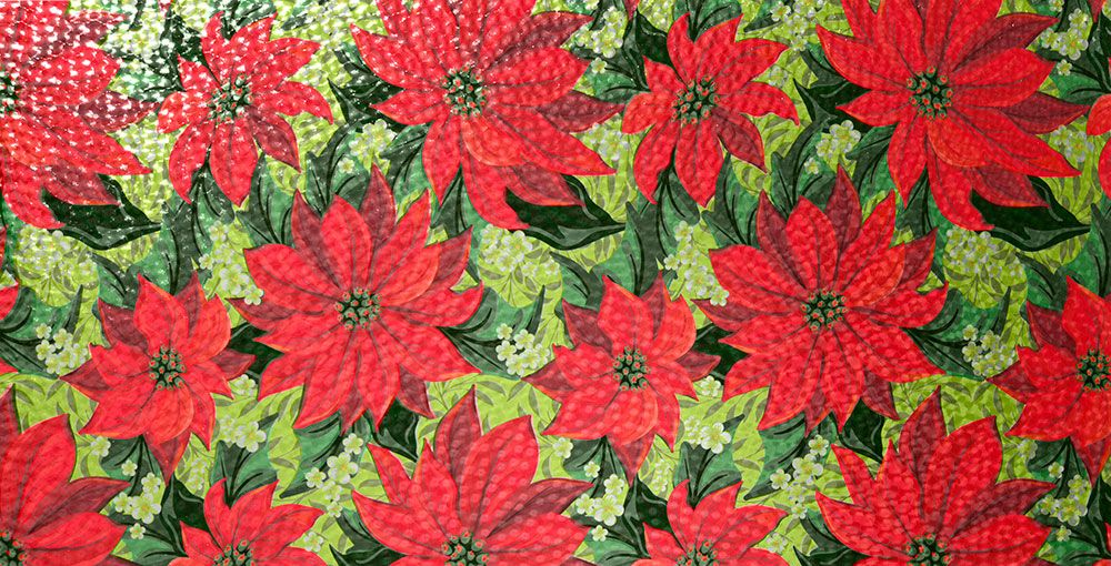 SX-SC219 Poinsettias
