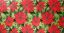 SX-SC219 Poinsettias