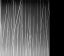 SXJ-0545 Beach Grass Gradient