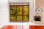 SX-SC0011 Tangerine Stained Glass